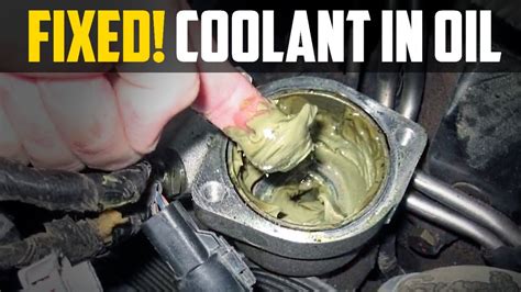 if the engine coolant leaks into the engine oil, then engine oil|4 Causes of Coolant in Oil (and What To Do)